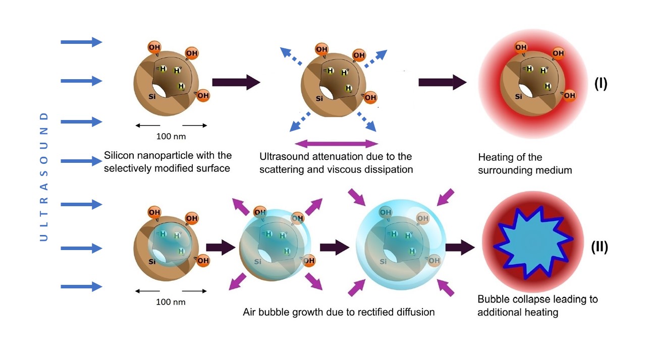 Cavitation Induced by Janus-Like Mesoporous Silicon Nanoparticles Enhances Ultrasound Hyperthermia